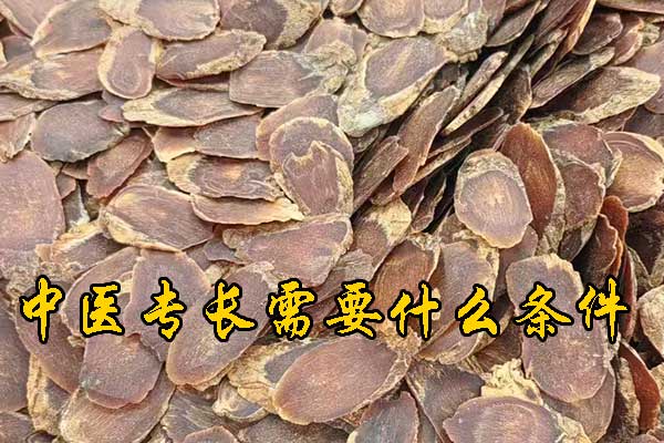 苏州中医专长医师资格证报名条件