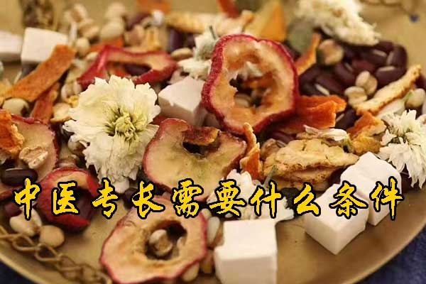 东莞中医专长证怎么报名