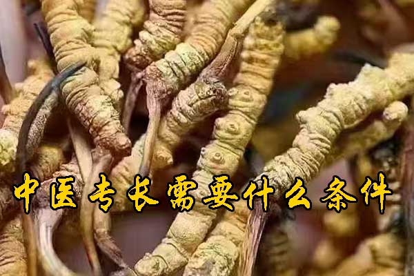 青岛中医专长的报名条件