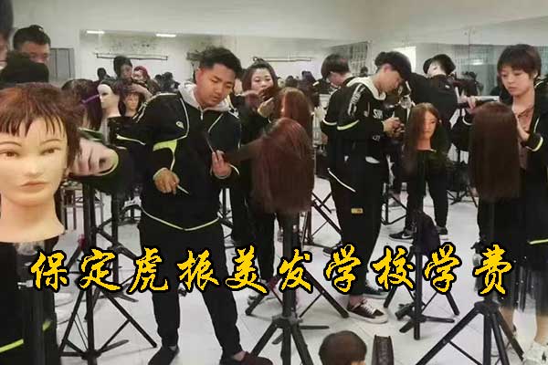 保定虎振美发学费多少钱