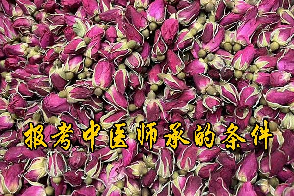 北京学中医哪里有正规学校？