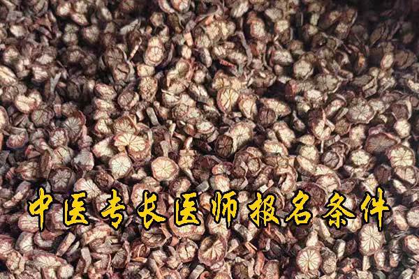 常州中医专长的报名条件