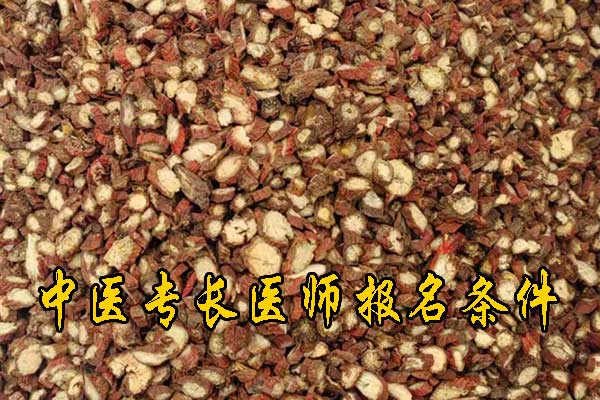 大连中医专长证报名条件及流程