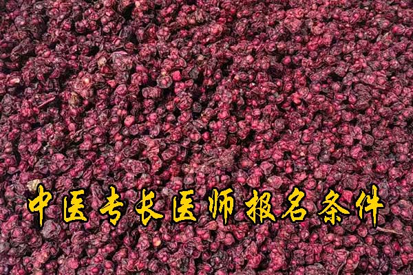 厦门中医专长证报名条件有哪些