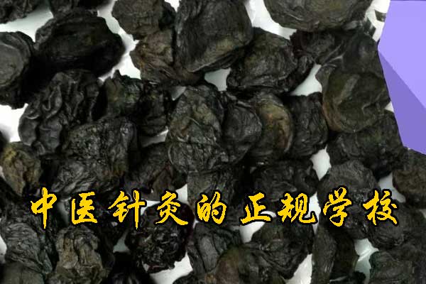 河北成人中医培训班招生简章