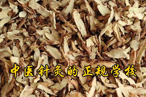 内蒙古学中医针灸的正规学校