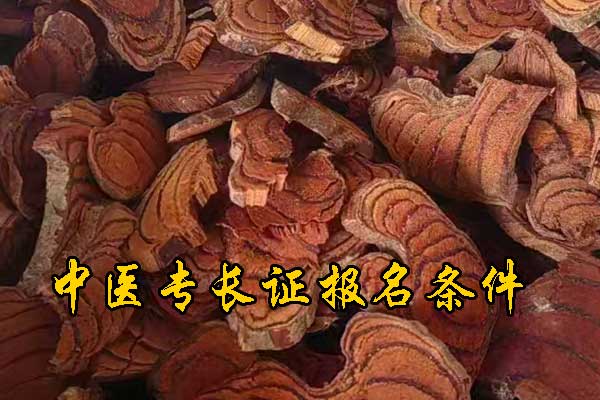 嘉兴中医专长证报名条件及费用