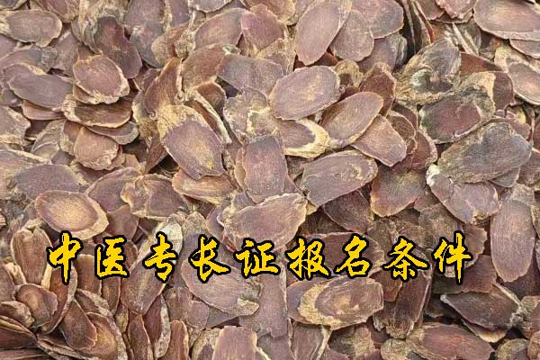 南通中医专长资格证需要什么条件