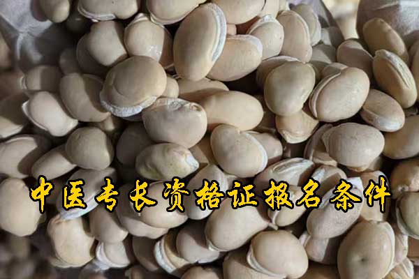 绍兴中医专长证报名条件及费用