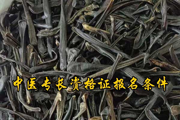 烟台中医专长资格证需要什么条件