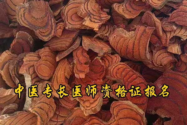 汕头中医专长证报名条件及考试科目