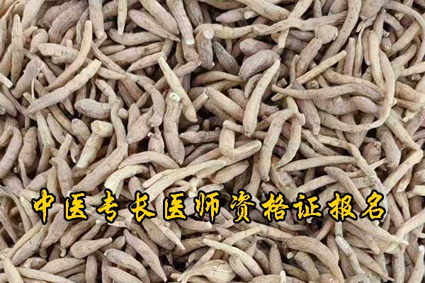 湖州中医专长证报名条件及流程