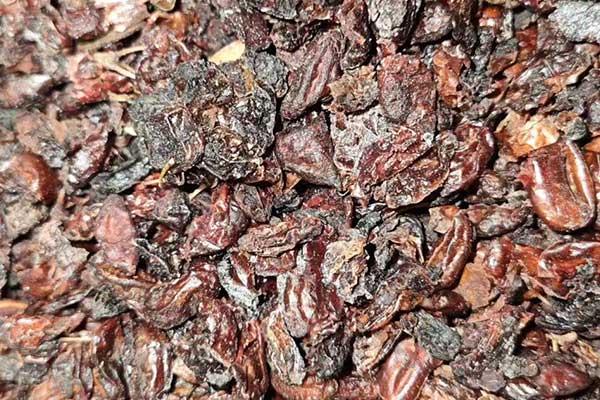 赣州中医专长证报名条件有哪些