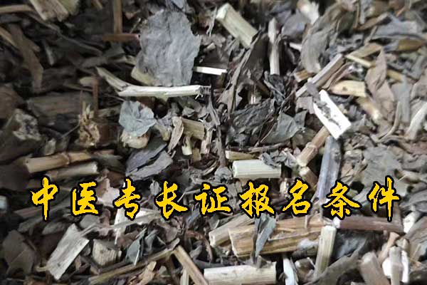 临沂中医专长证报名条件要求