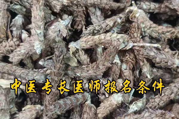 揭阳中医专长资格证需要什么条件