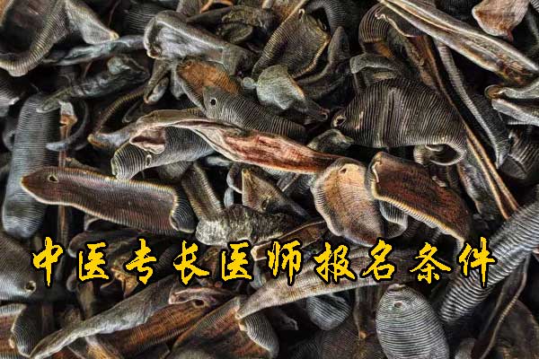 三亚中医专长证报名条件及费用