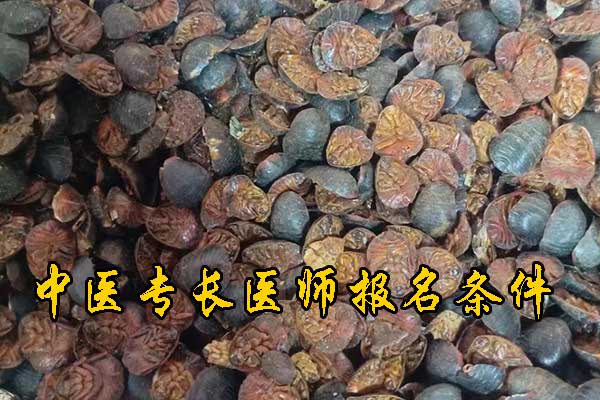 芜湖中医专长证怎么报名