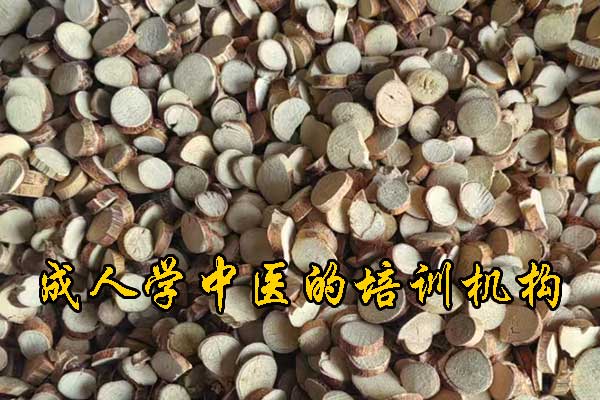 贵阳成人想学中医去什么学校