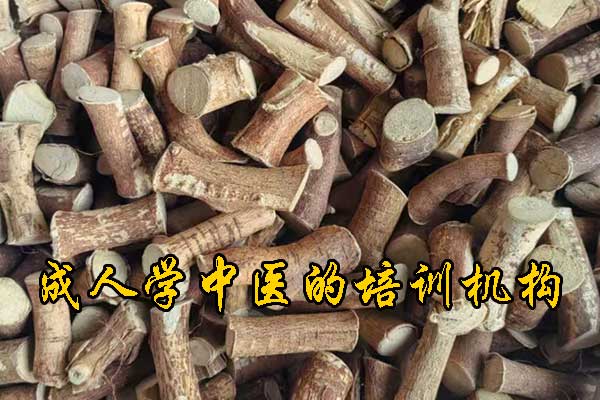 长沙哪有学中医的学校