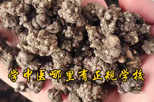 兰州学中医哪里有正规学校？