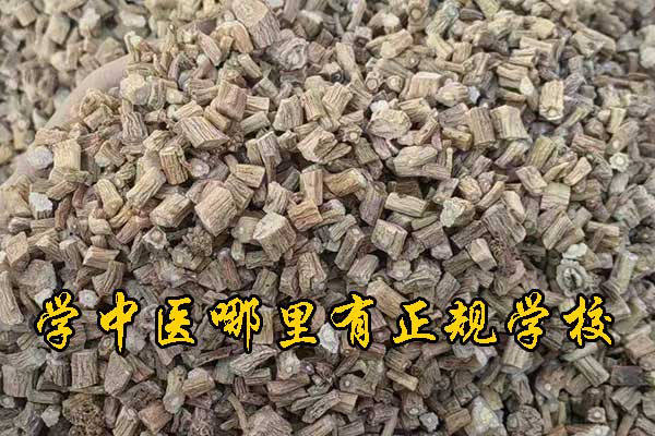 银川成人想学中医去什么学校