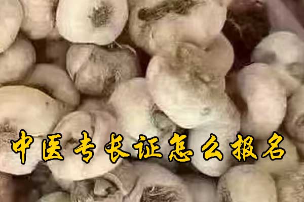 丽水中医专长证报名条件有哪些