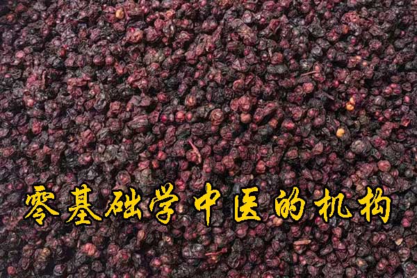 南通学中医哪里有正规学校？