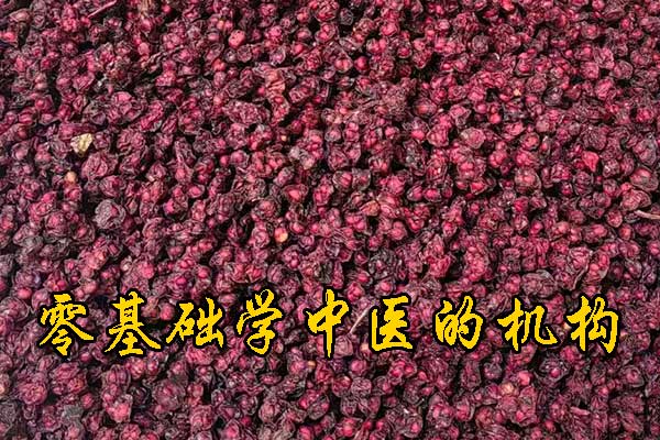 常州学中医针灸的正规学校