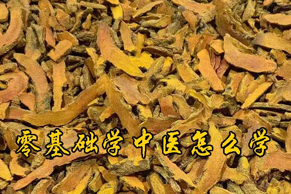 台州成人想学中医去什么学校