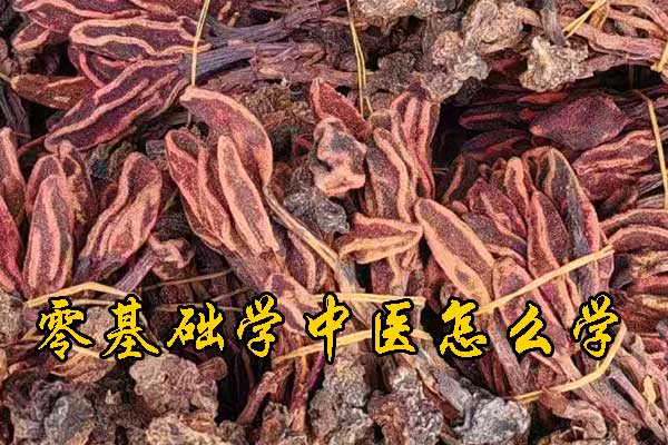 烟台哪有学中医的学校