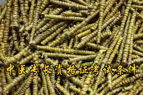 鞍山中医专长证报名条件要求