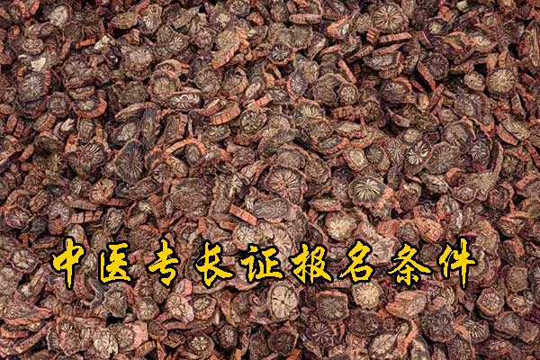 肇庆中医专长证报名条件及流程