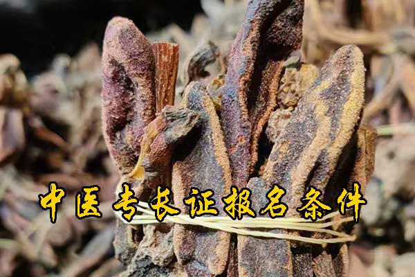 清远中医专长证报名条件有哪些？