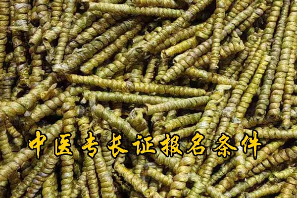 沧州中医专长资格证需要什么条件