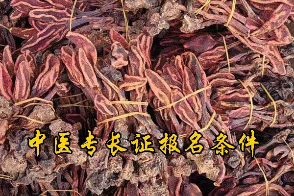 信阳中医专长证报名条件及费用