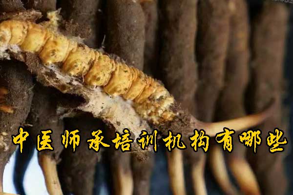 镇江学中医针灸的正规学校