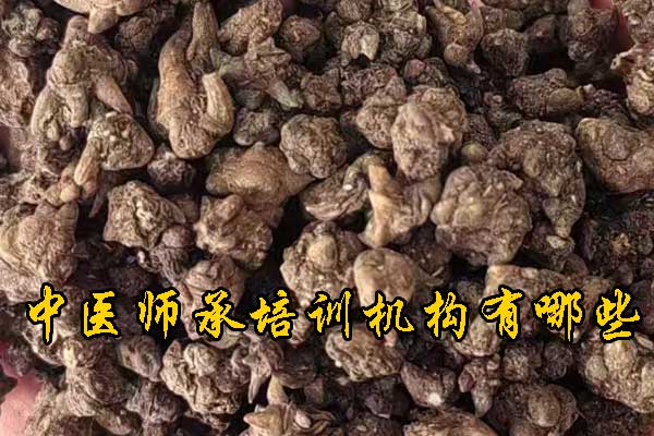 洛阳学中医哪里有正规学校？