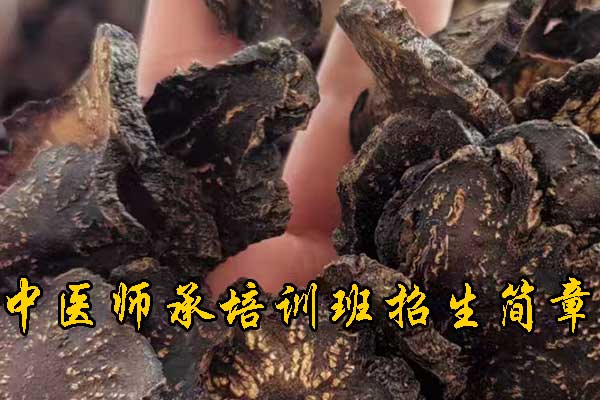 芜湖有没有专门学中医的学校