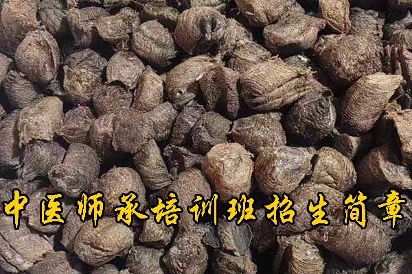 桂林成人想学中医去什么学校