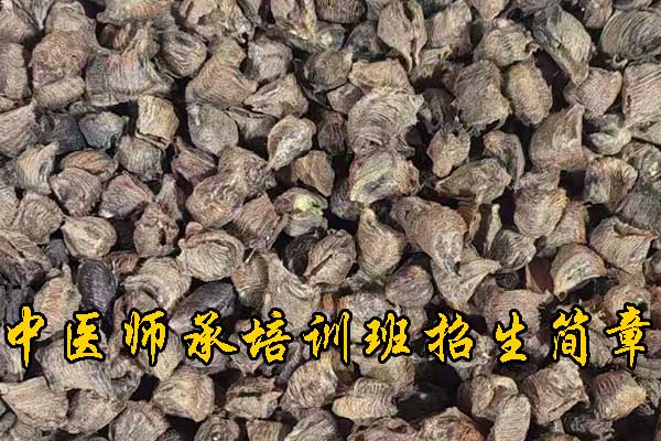 揭阳哪有学中医的学校