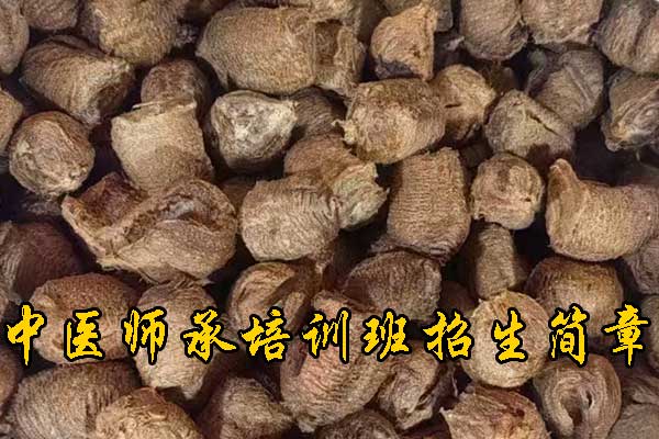 漳州成人中医培训班哪家好