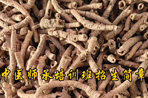 廊坊学中医哪里有正规学校？