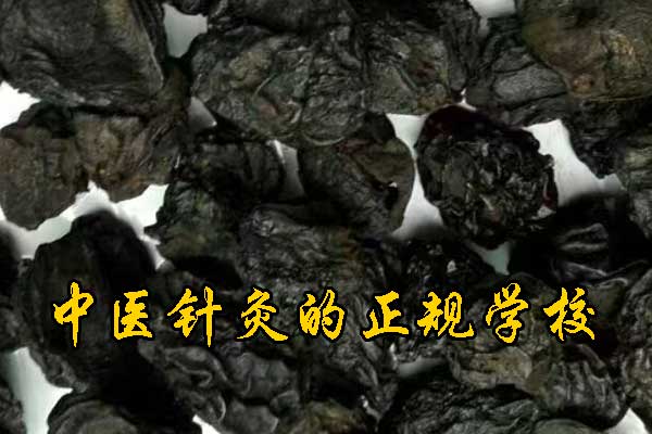 济宁有没有专门学中医的学校