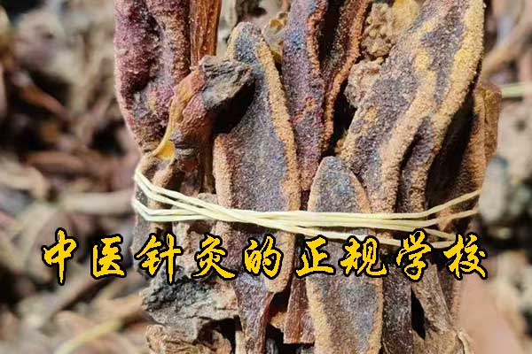 莆田成人想学中医去什么学校