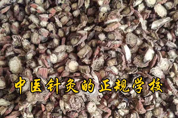 三亚成人中医培训班哪家好