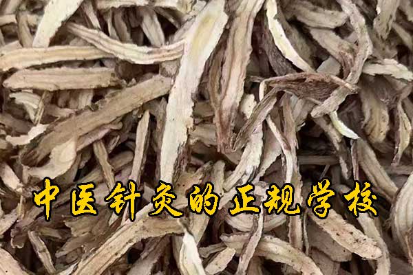 遵义学中医针灸的正规学校