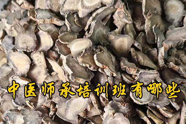 淄博有没有专门学中医的学校