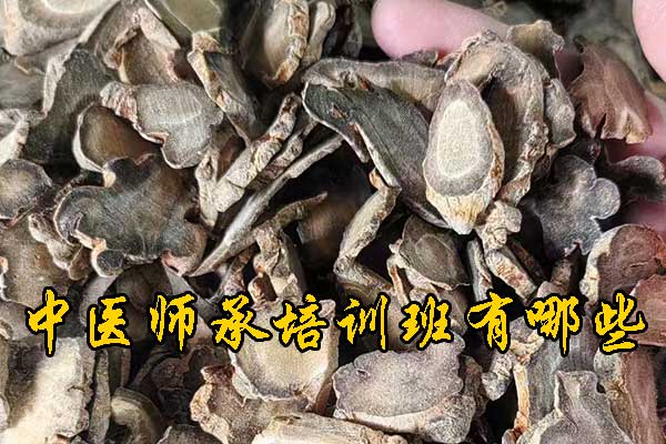 宜昌成人想学中医去什么学校