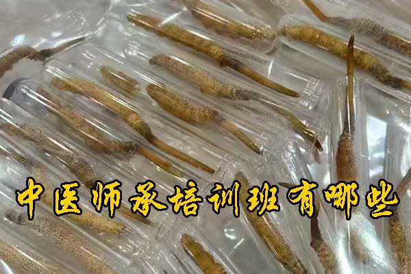 邯郸哪有学中医的学校