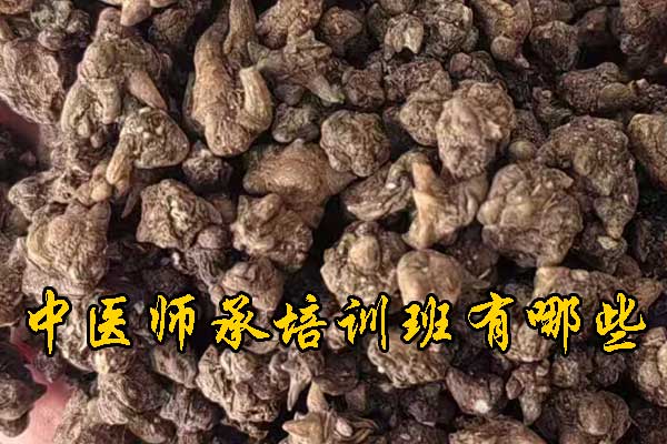 淮安学中医针灸的正规学校